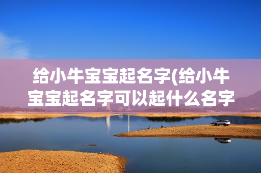 给小牛宝宝起名字(给小牛宝宝起名字可以起什么名字好听)