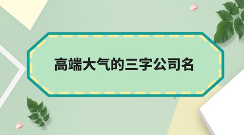 公司起名字三个字(公司起名字三个字大全免费)