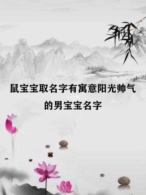 给生肖鼠的宝宝起名字大全(给生肖鼠的宝宝起名字大全男孩)