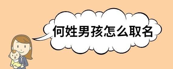 何姓猪宝宝起名字男孩名(何姓猪宝宝起名字男孩名字大全)