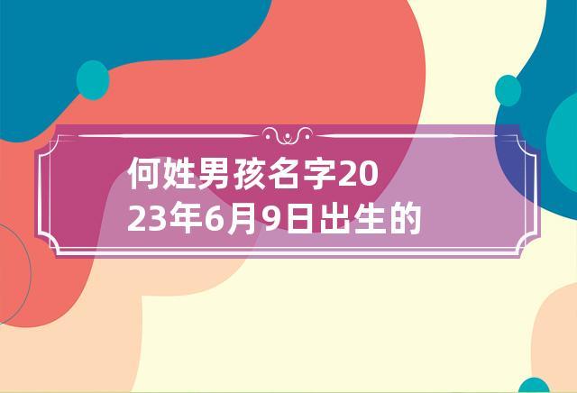 何姓猪宝宝起名字男孩名(何姓猪宝宝起名字男孩名字大全)