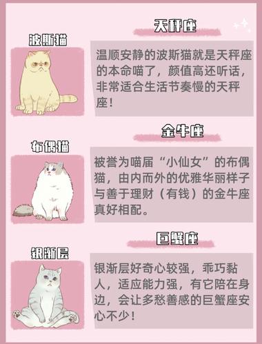 十二星座给猫起名字大全(十二星座给猫起名字大全女)