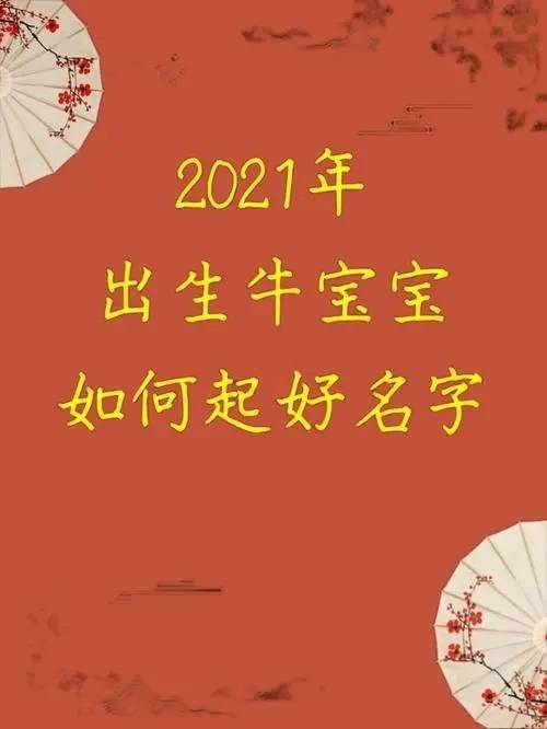 2021年1月12日生孩子取名（2021年1月12日出生男宝宝姓名）