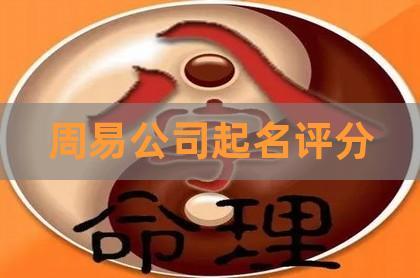 卜易居公司取名（卜易居公司取名测分）