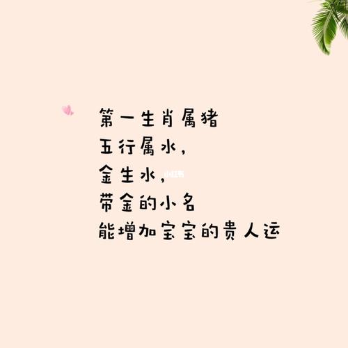 猪年女宝宝起名字带水字(猪年女宝宝起名字带水字好吗)