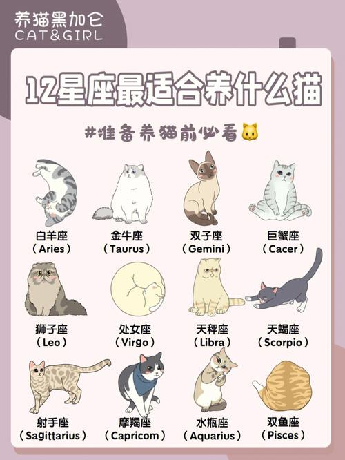 十二星座给猫起名字男(十二星座给猫起名字男生)