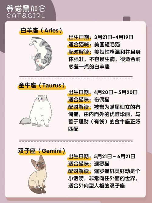 十二星座给猫起名字男(十二星座给猫起名字男生)