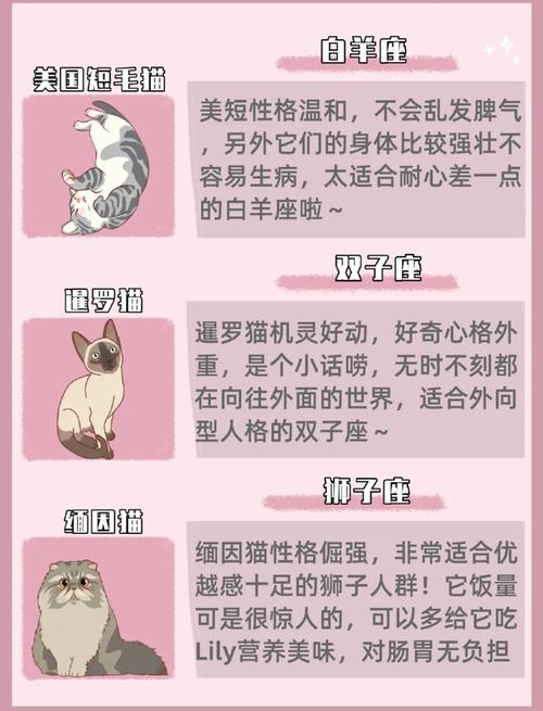 给猫起名字12星座是什么(给猫起名是什么生肖)