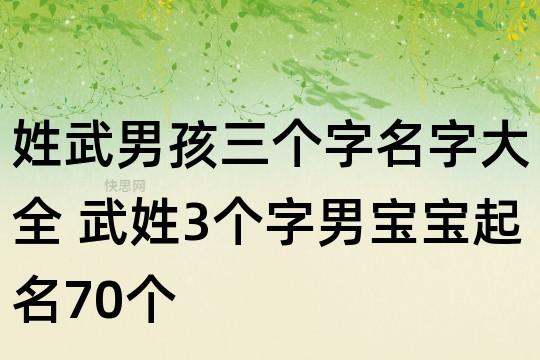 姓武给男宝宝起名字大全(姓武给男宝宝起名字大全四个字)