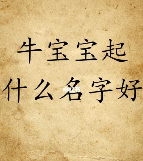 牛宝宝起名字带琛的小名(牛宝宝起名字带琛的小名男孩)