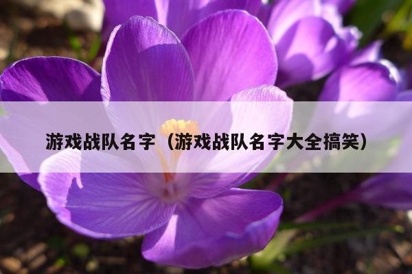 给桌面游戏起名字大全(给桌面游戏起名字大全霸气)