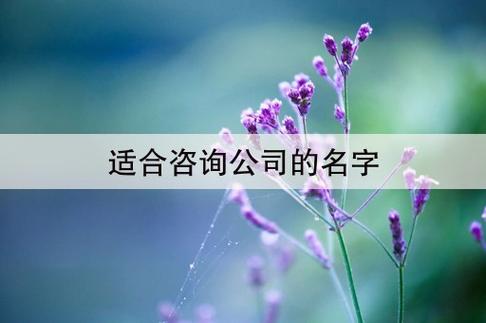 咨询公司起名字大全(咨询公司起名字大全免费)