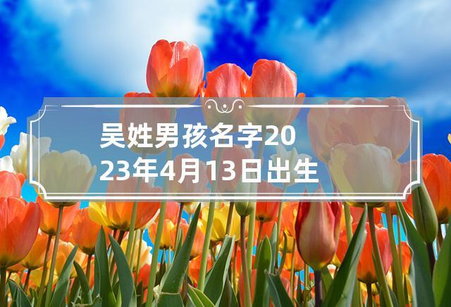 2023年新生儿男孩名字（2023年新生儿男孩名字有哪些）