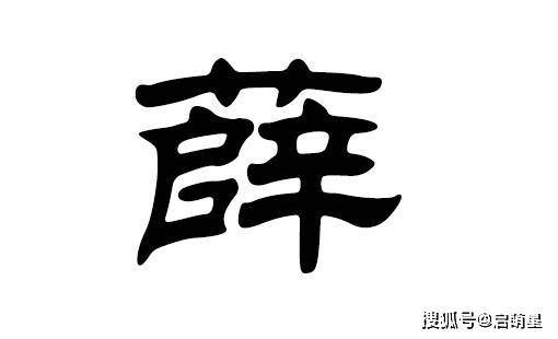 猪宝宝起名字姓薛怎么样(猪宝宝起名字姓薛怎么样好听)