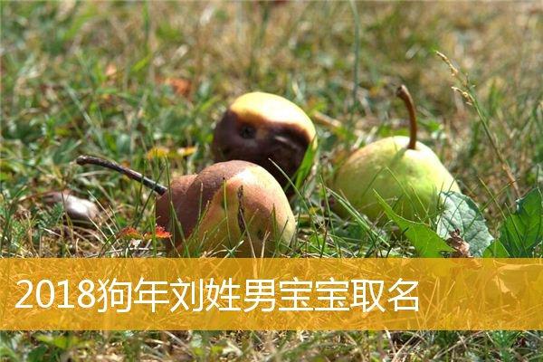 狗宝宝起名字姓刘怎么取()