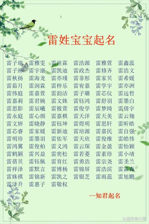 宝宝起名字中的妙语是什么(宝宝起名字中的妙语是什么意思)