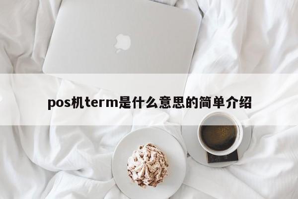 pos机term是什么意思的简单介绍