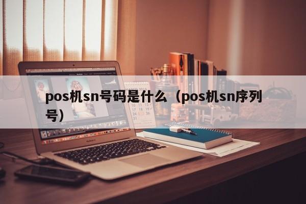 pos机sn号码是什么（pos机sn序列号）