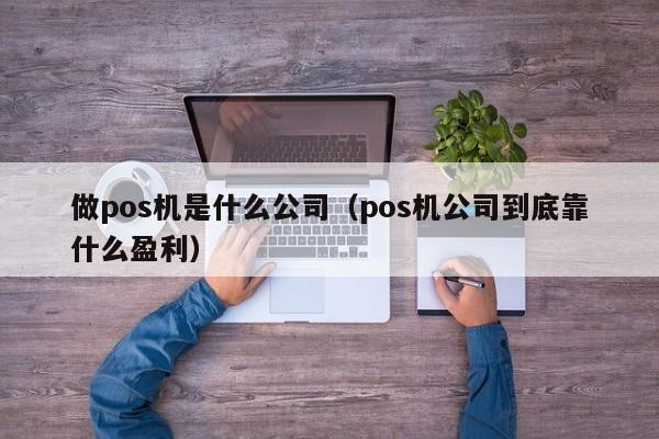 做pos机是什么公司（pos机公司到底靠什么盈利）