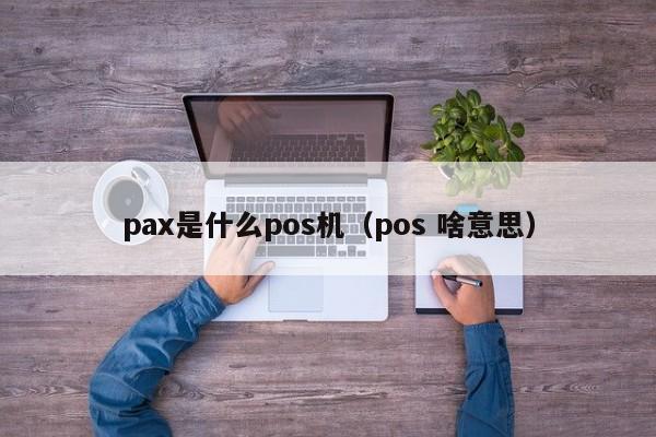 pax是什么pos机（pos 啥意思）