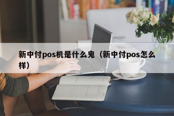 新中付pos机是什么鬼（新中付pos怎么样）