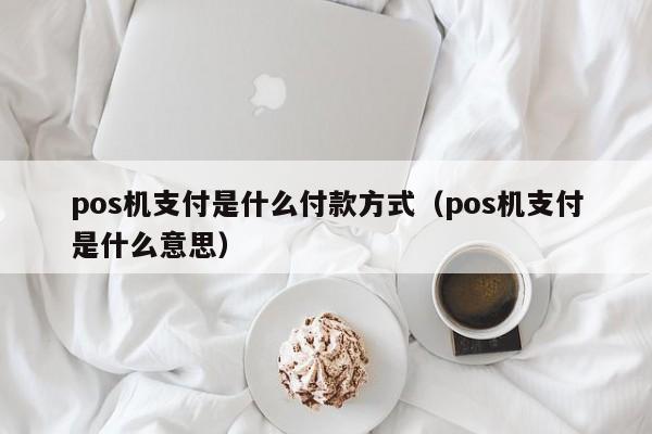 pos机支付是什么付款方式（pos机支付是什么意思）