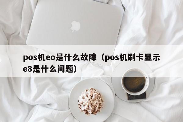 pos机eo是什么故障（pos机刷卡显示e8是什么问题）