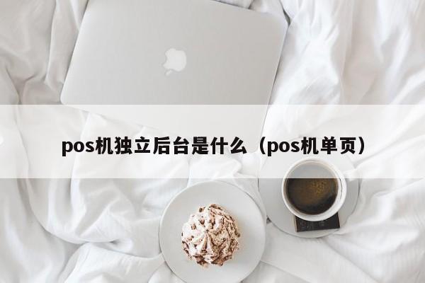 pos机独立后台是什么（pos机单页）