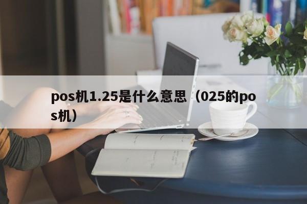 pos机1.25是什么意思（025的pos机）