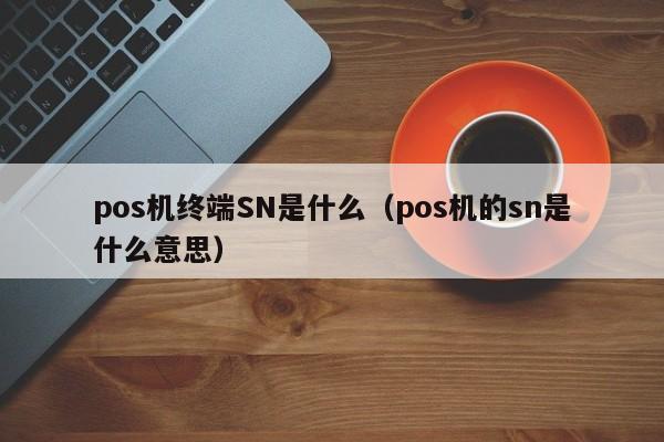 pos机终端SN是什么（pos机的sn是什么意思）