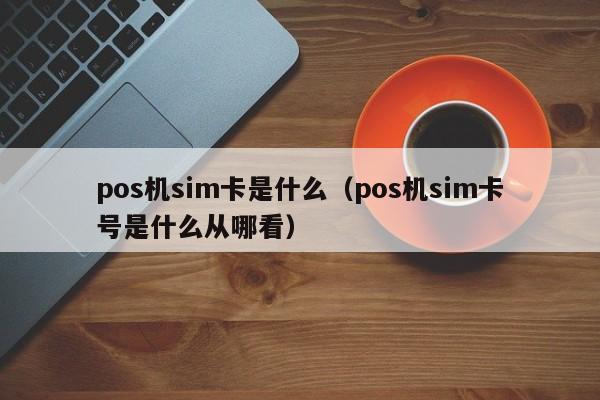 pos机sim卡是什么（pos机sim卡号是什么从哪看）