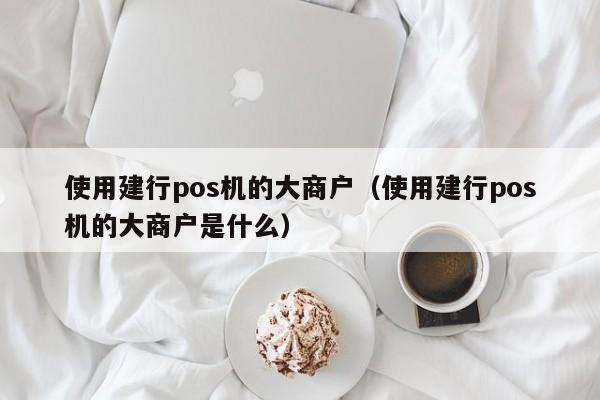 使用建行pos机的大商户（使用建行pos机的大商户是什么）