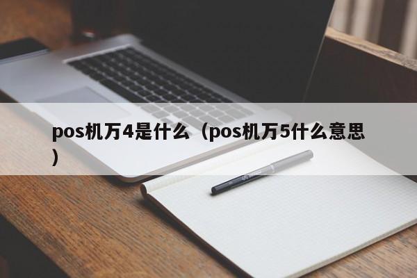 pos机万4是什么（pos机万5什么意思）