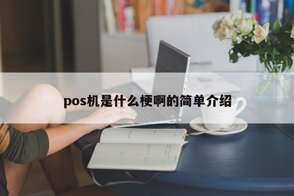 pos机是什么梗啊的简单介绍