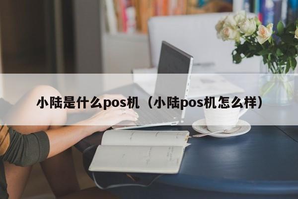 小陆是什么pos机（小陆pos机怎么样）