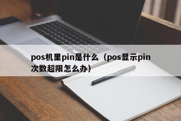 pos机里pin是什么（pos显示pin次数超限怎么办）