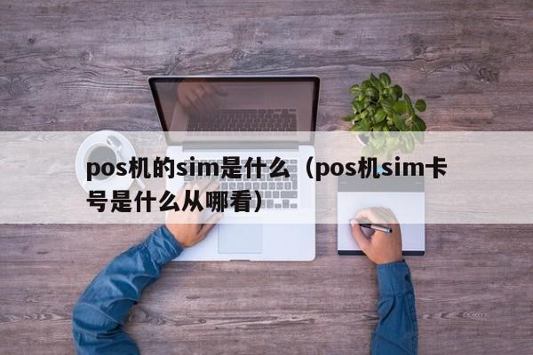 pos机的sim是什么（pos机sim卡号是什么从哪看）