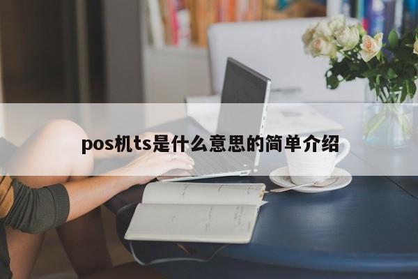 pos机ts是什么意思的简单介绍