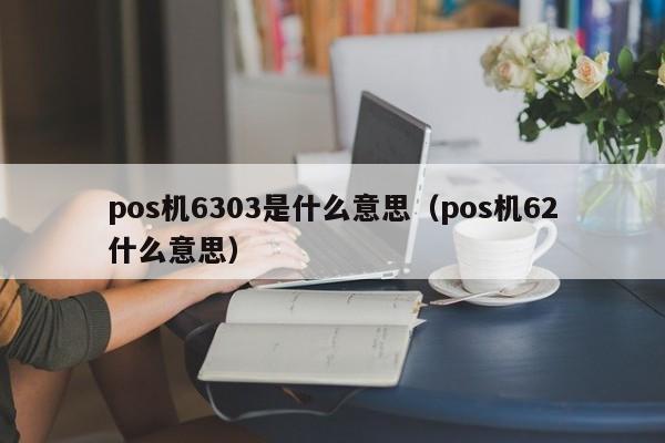 pos机6303是什么意思（pos机62什么意思）