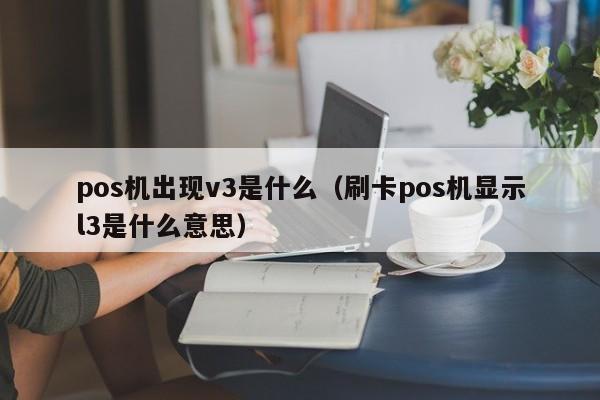 pos机出现v3是什么（刷卡pos机显示l3是什么意思）