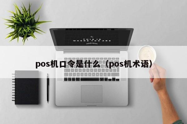 pos机口令是什么（pos机术语）