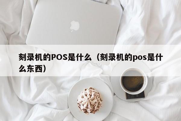 刻录机的POS是什么（刻录机的pos是什么东西）