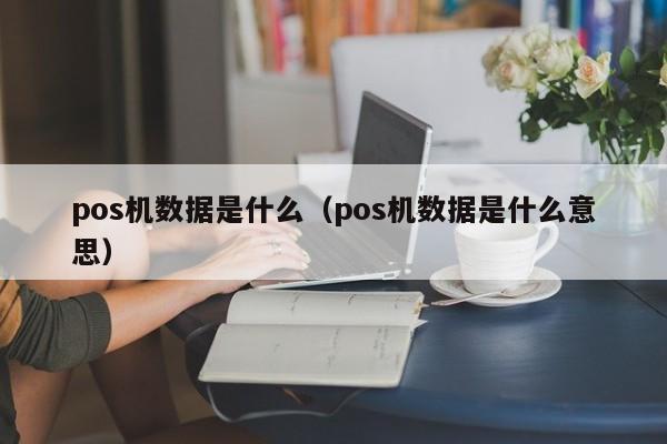 pos机数据是什么（pos机数据是什么意思）