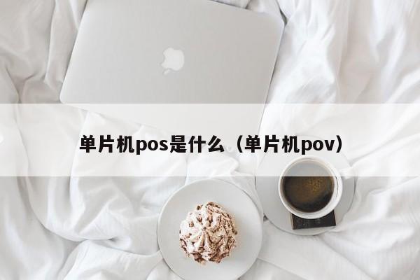 单片机pos是什么（单片机pov）