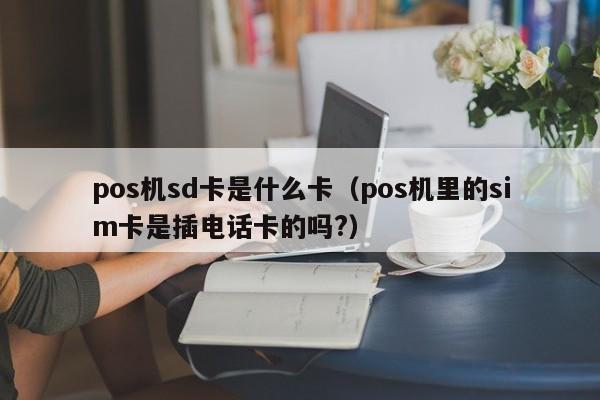 pos机sd卡是什么卡（pos机里的sim卡是插电话卡的吗?）