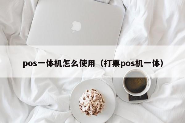 pos一体机怎么使用（打票pos机一体）