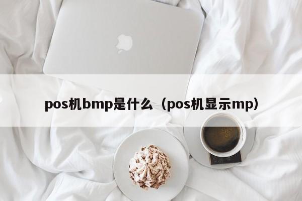 pos机bmp是什么（pos机显示mp）