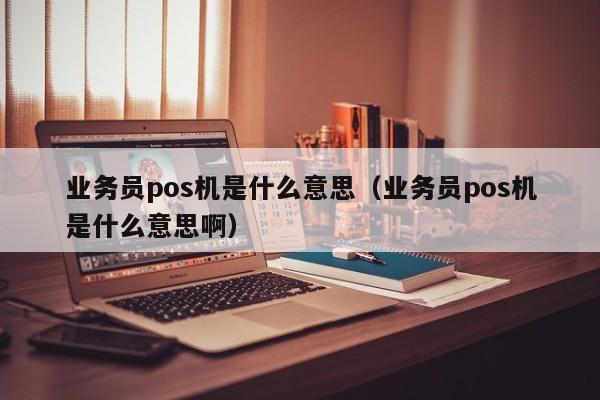 业务员pos机是什么意思（业务员pos机是什么意思啊）