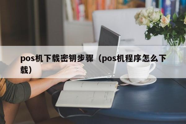 pos机下载密钥步骤（pos机程序怎么下载）