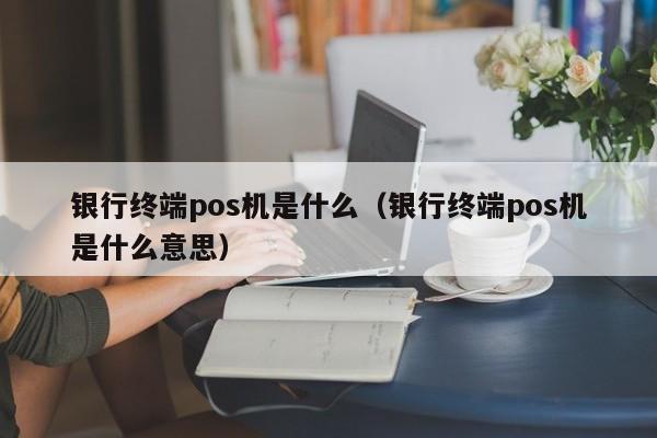 银行终端pos机是什么（银行终端pos机是什么意思）